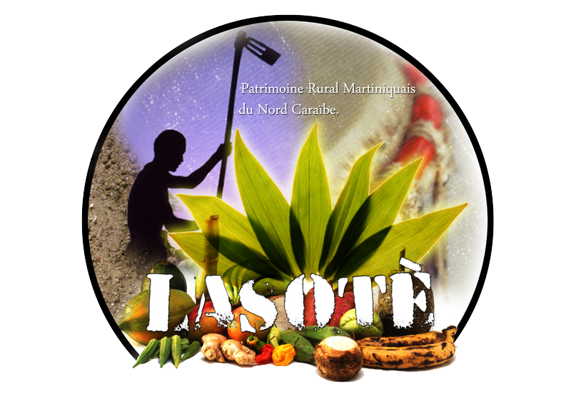 logolasote